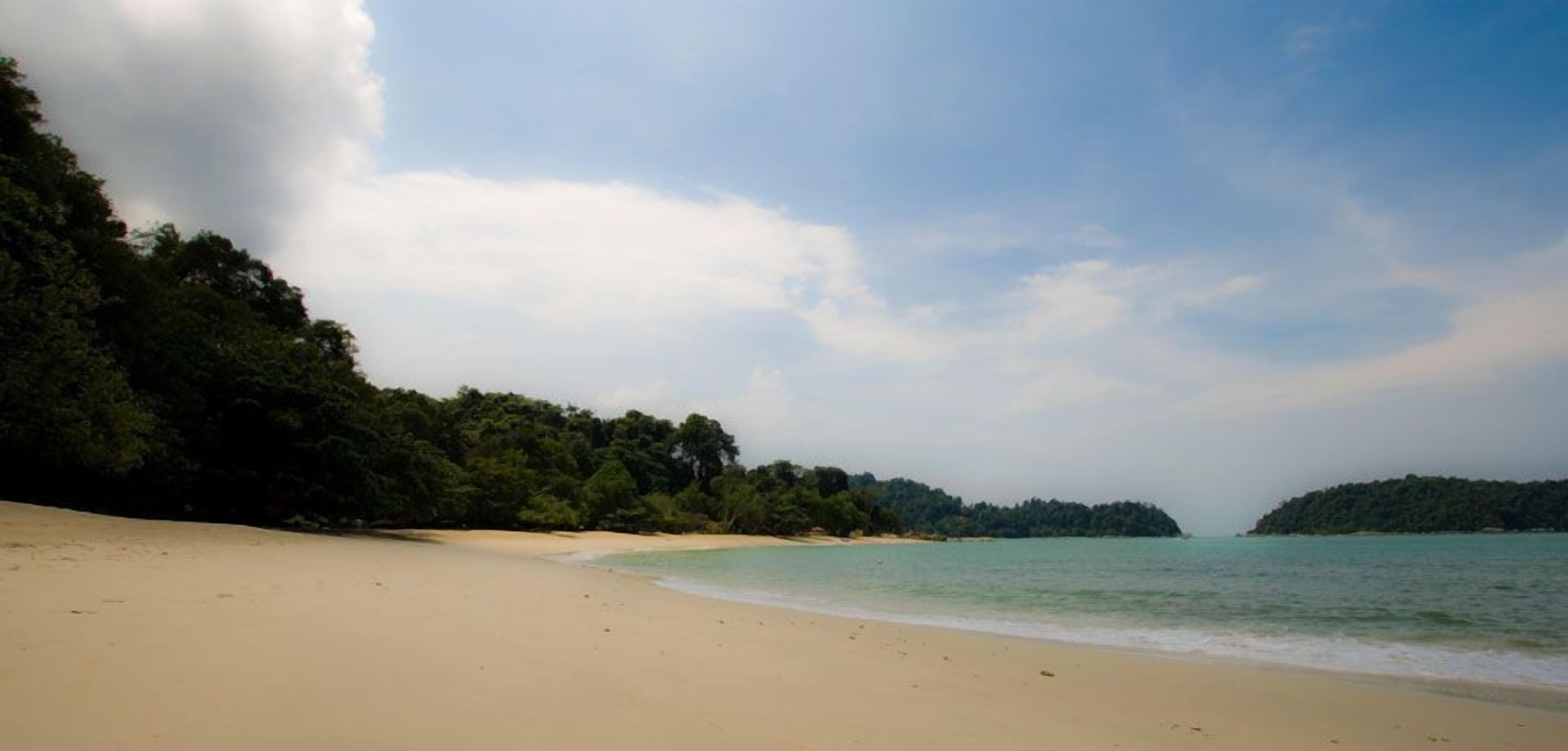 A beach with a sandy shore and a forested island in the background.