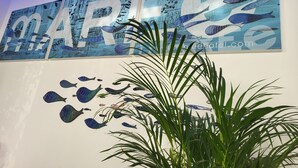 A wall with a large blue and white artwork featuring fish and the word "MARINE". - Maree Hotel (Cesenatico)