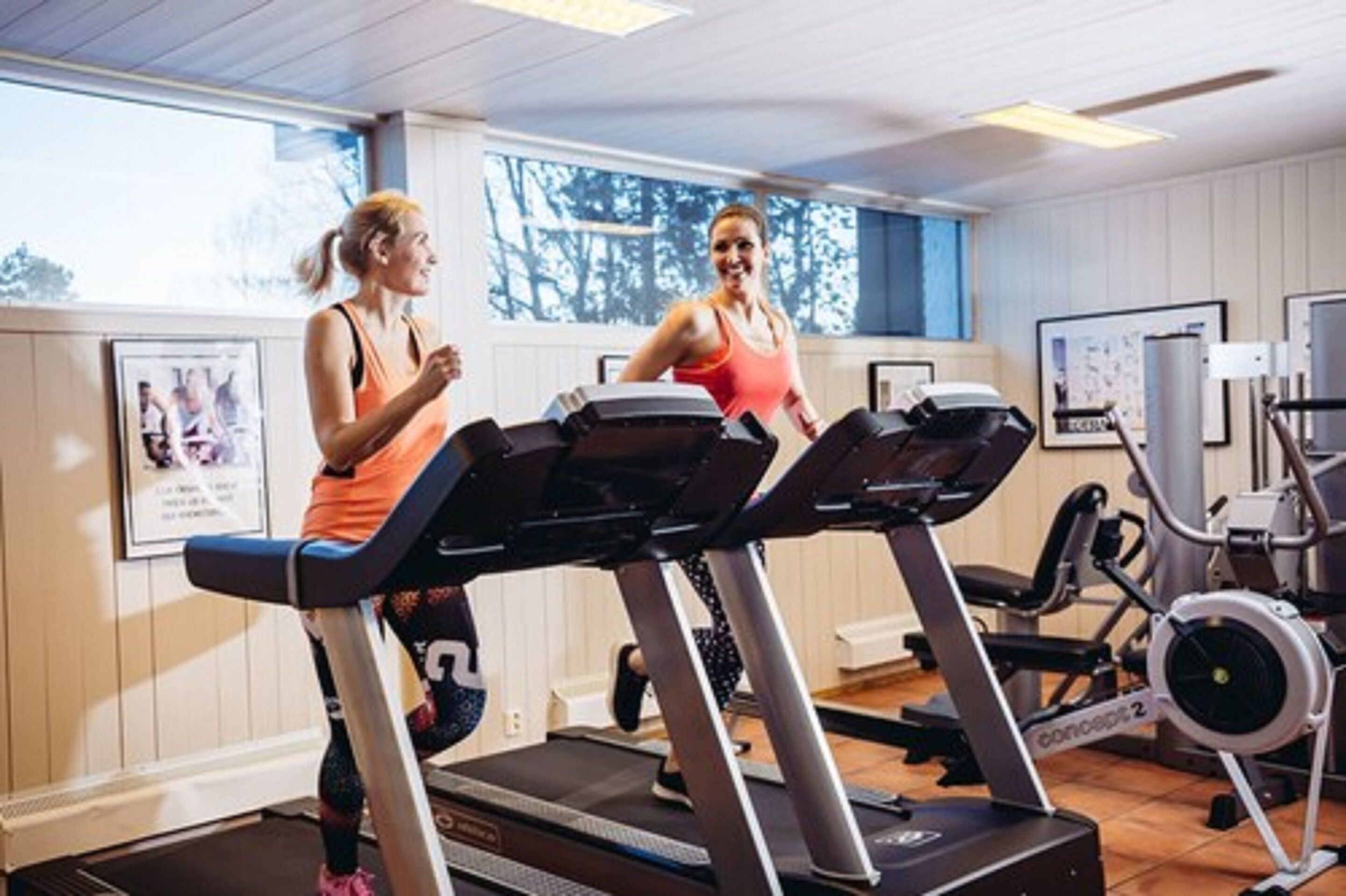 A gym with treadmills and exercise equipment.