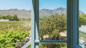 A view through a window of a vineyard with mountains in the background. - Auberge Clermont (Franschhoek)