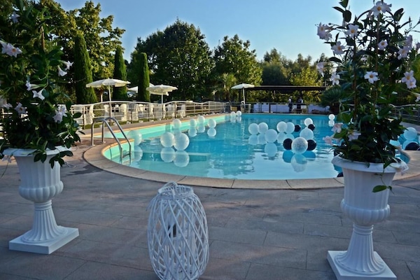 Outdoor pool, sun loungers