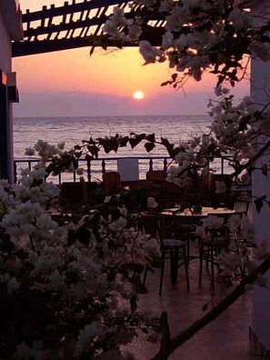 Beach/ocean view
