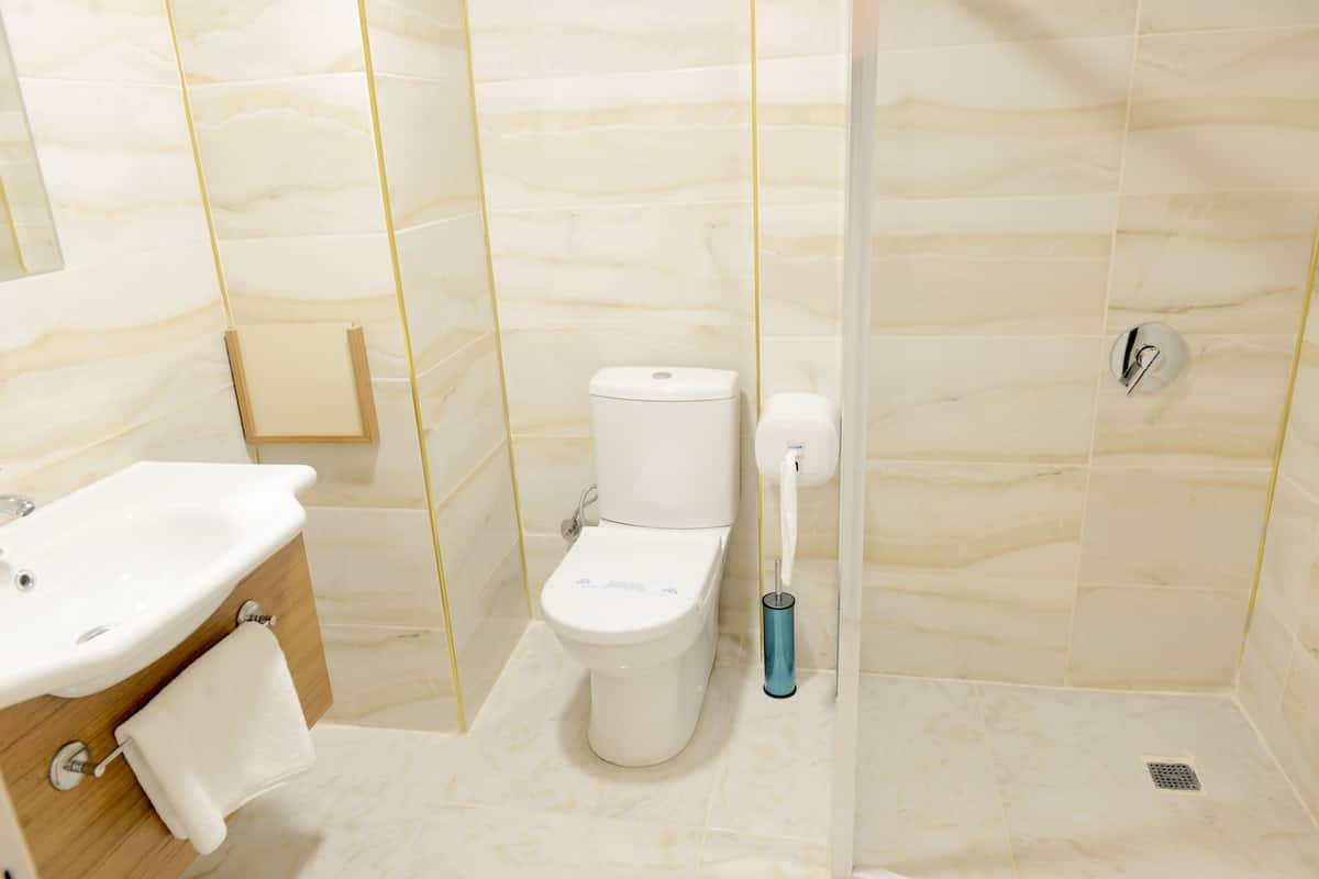 Bañera con ducha, secador de pelo, toallas