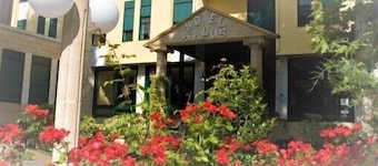 Hotel Salus