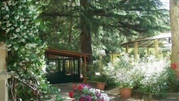 Jardín