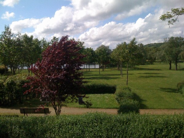 Un parque con un banco, árboles y un lago.