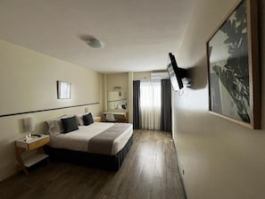 Habitación estándar, 1 cama doble | Minibar, caja fuerte, escritorio y sistema de insonorización