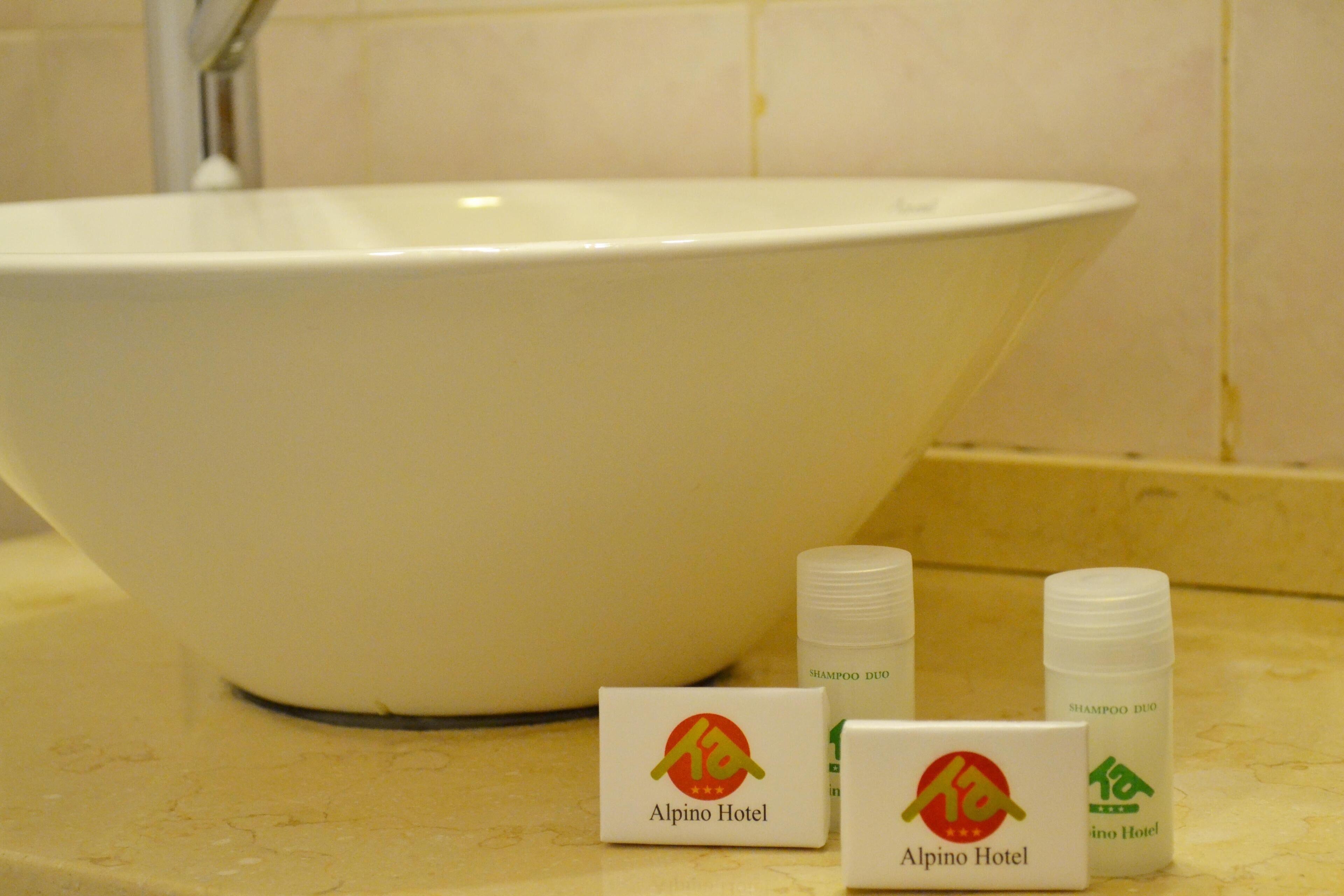 combined shower/bathtub, free toiletries, hair dryer, bidet