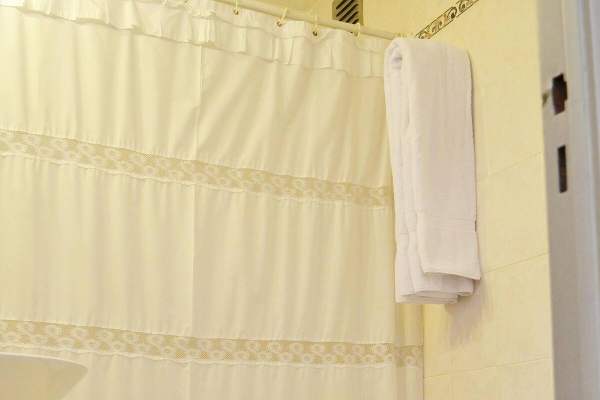 combined shower/bathtub, free toiletries, hair dryer, bidet