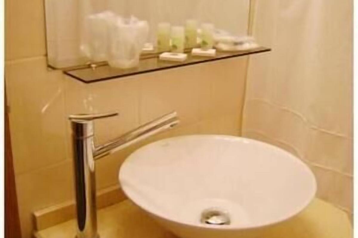 combined shower/bathtub, free toiletries, hair dryer, bidet