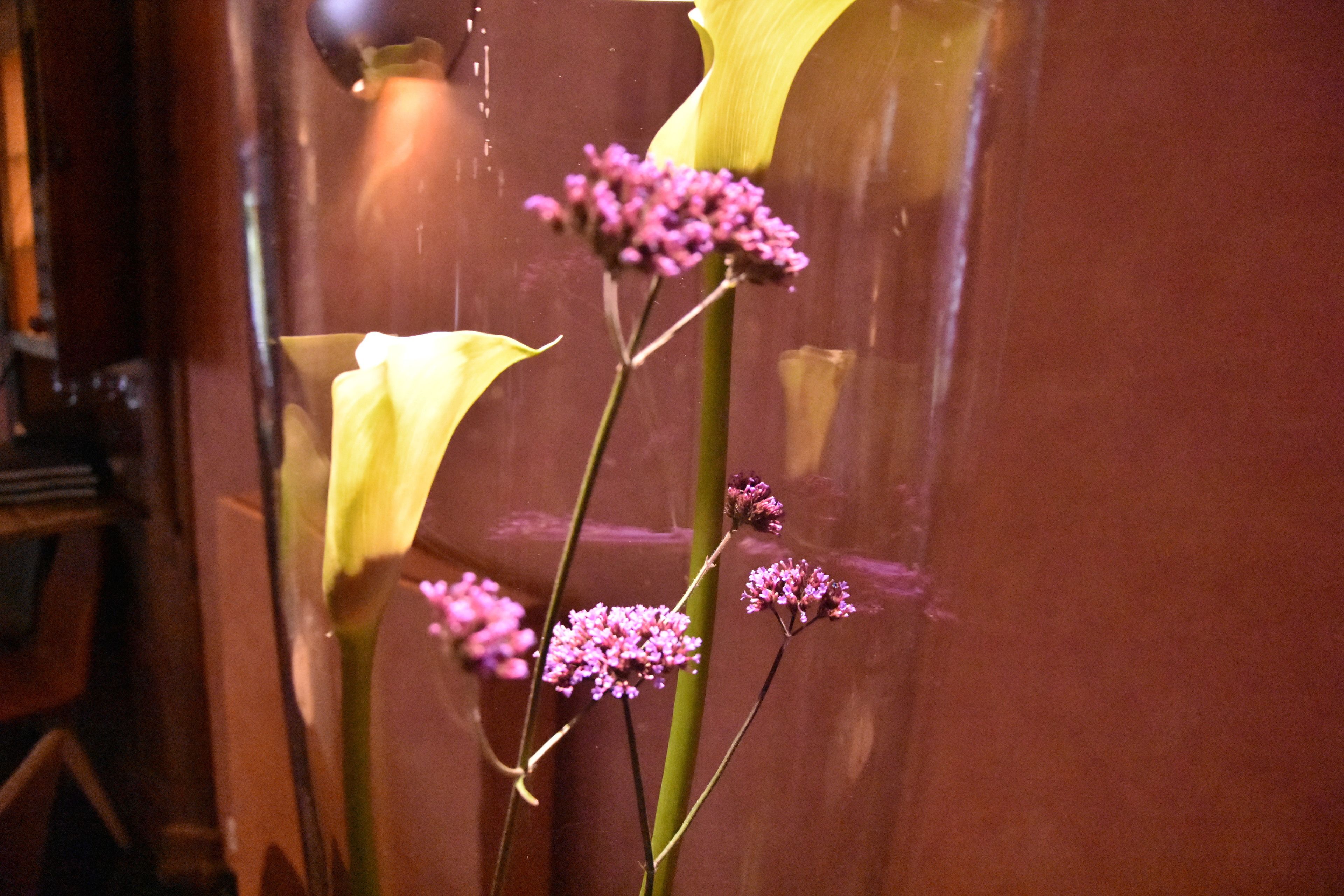 premium bedding, down duvets, minibar, in-room safe