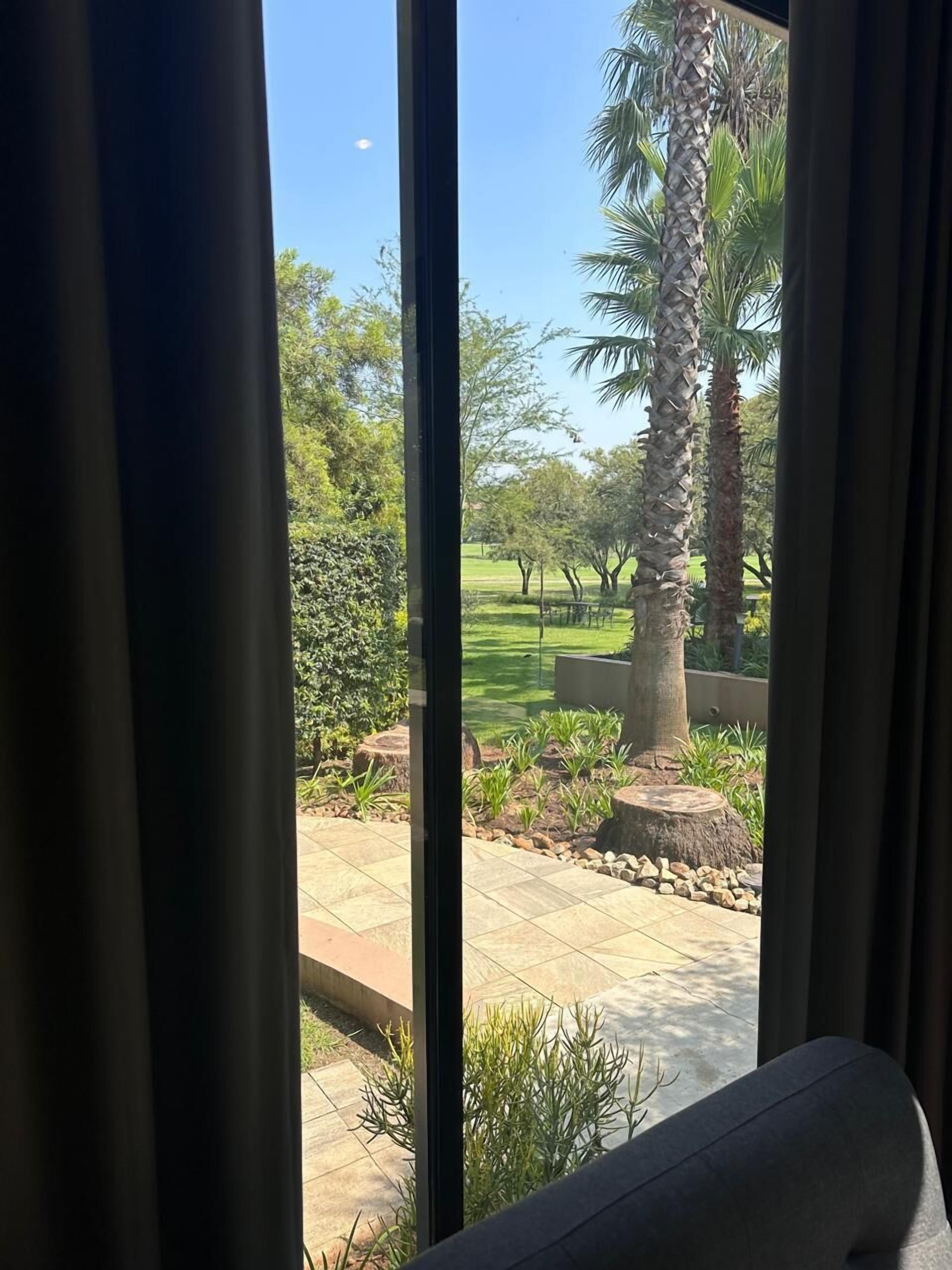 Vista a través de una ventana con cortinas, mostrando un jardín cuidado con palmeras, arbustos y un área pavimentada.