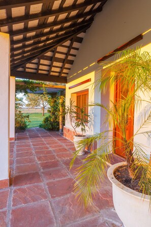 Un espacio al aire libre techado con suelo de baldosas que conduce a la entrada de un edificio, rodeado de macetas con plantas y vistas al exterior.