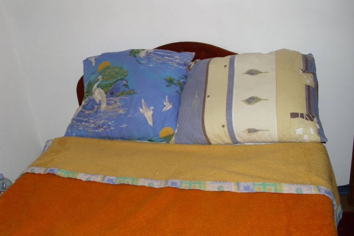 Habitación individual | Camas con pillow-top y wifi