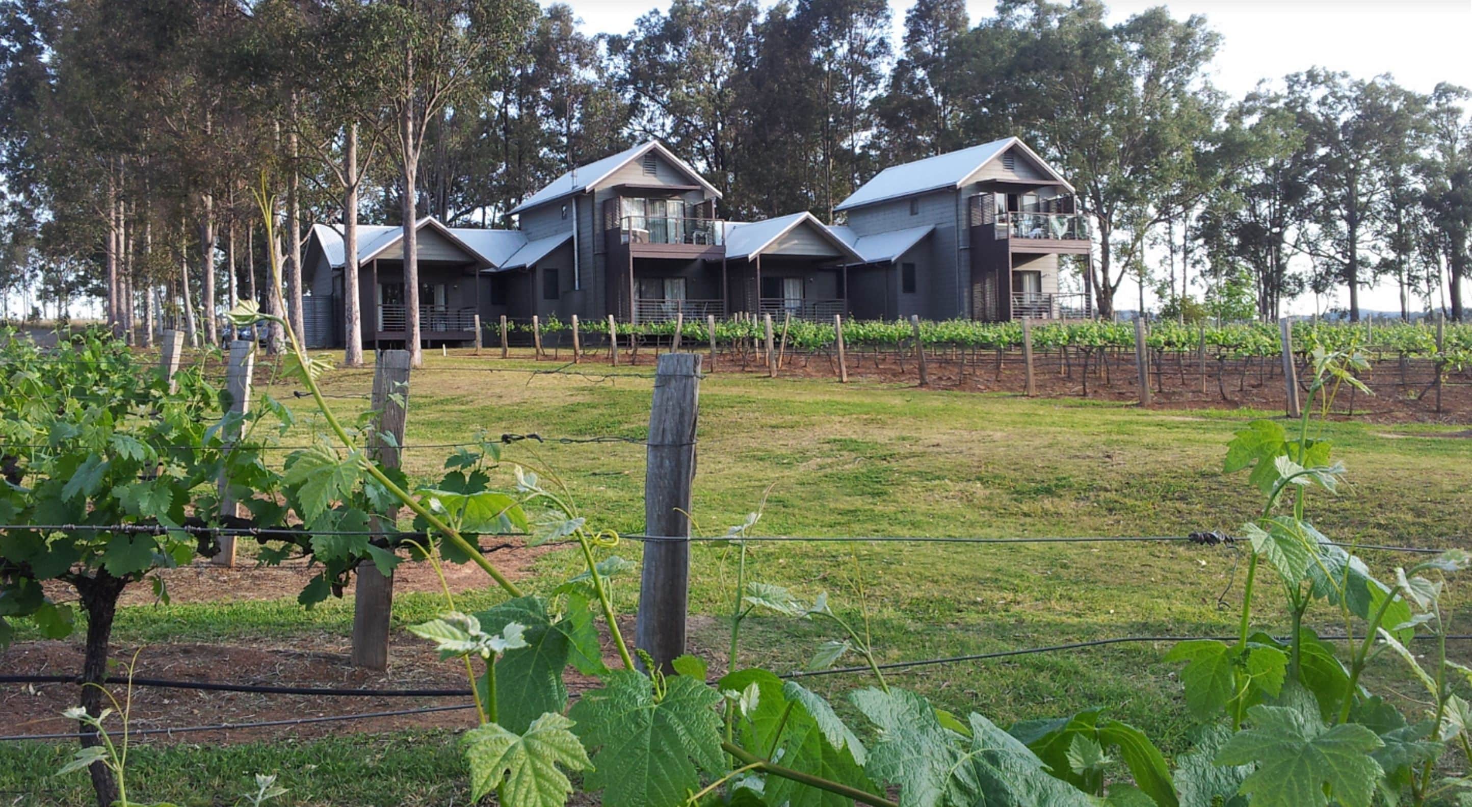 A vineyard with rows of grapevines and a building with multiple balconies.