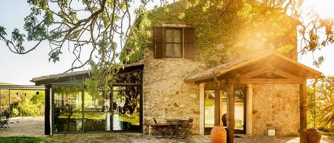 Spécialités Cuisine locale