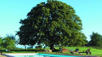 Seasonal outdoor pool, sun loungers