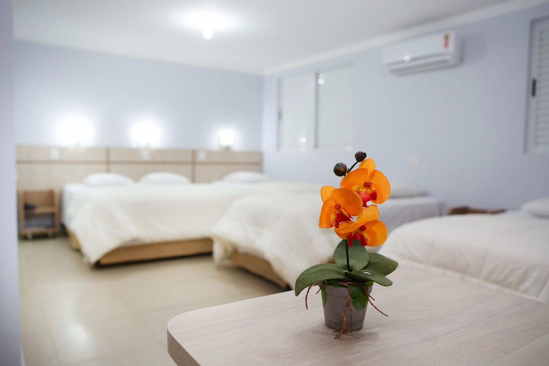 Minibar, caja de seguridad en la habitación, escritorio y wifi gratis 