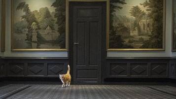 Une pièce dotée d’une porte en bois sombre, de deux grandes peintures représentant des paysages accrochées aux murs et d’un tapis à motifs.