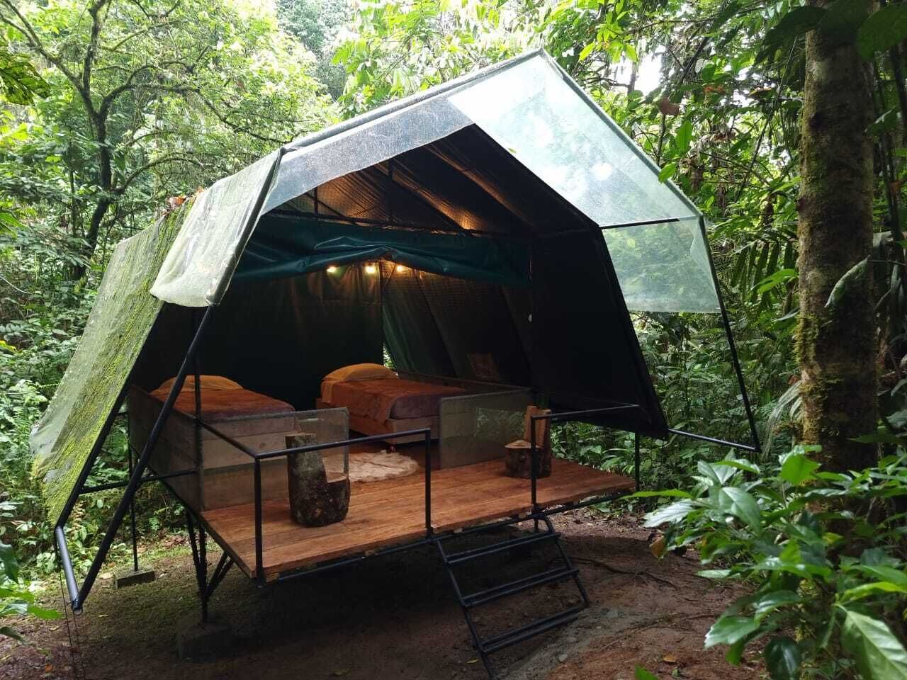 A tent with a wooden platform and seating area, surrounded by dense forest.
