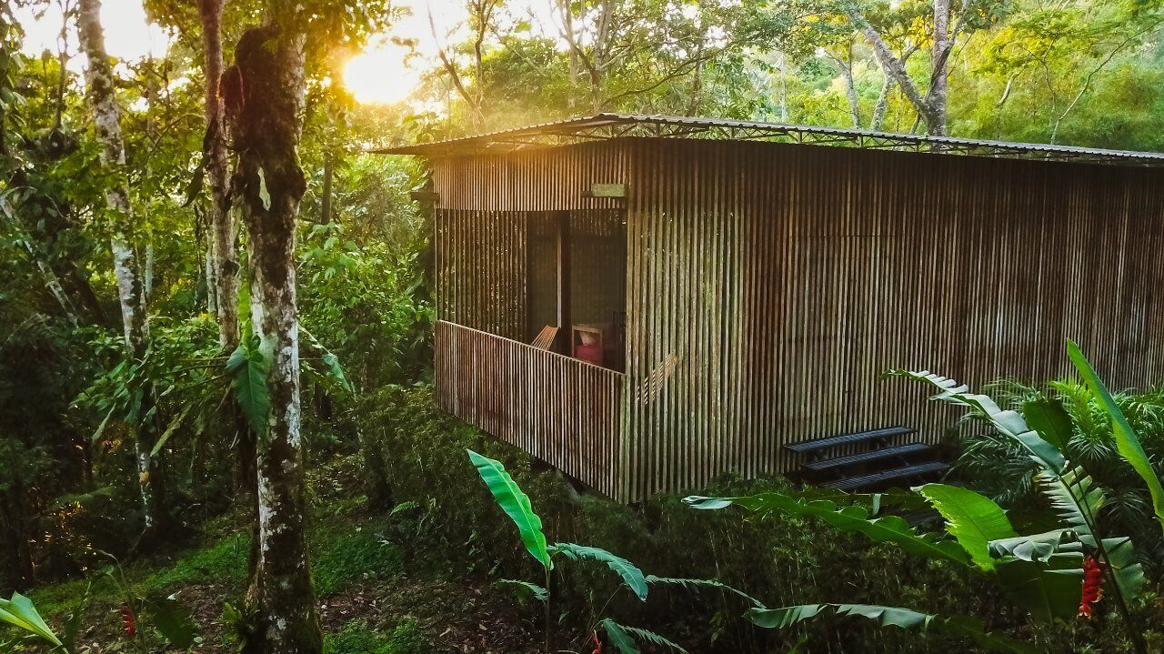 Eine rustikale Holzhütte mit einem Balkon, umgeben von dichtem Wald.