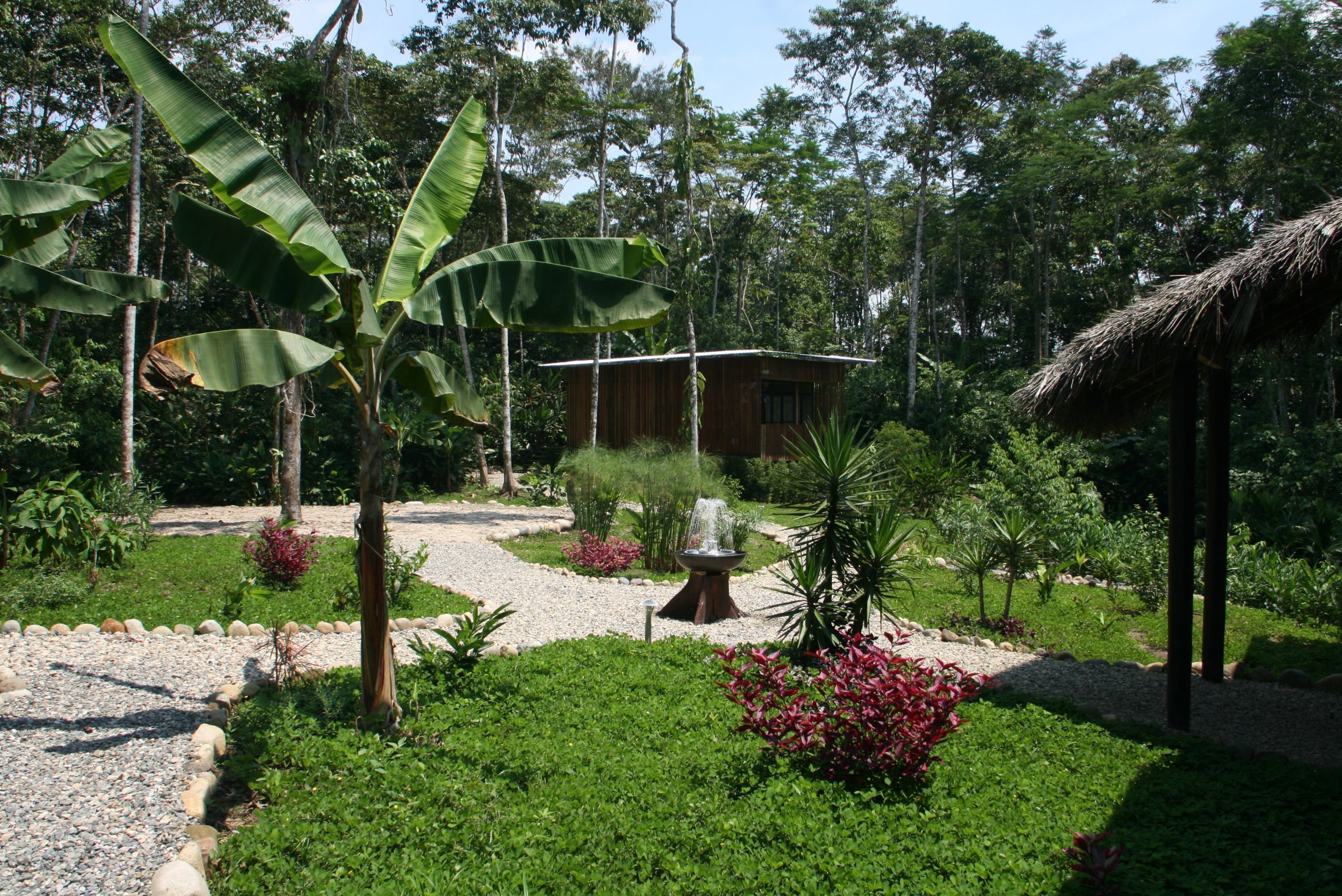 Een tuin met een houten constructie, een grindpad en diverse planten.