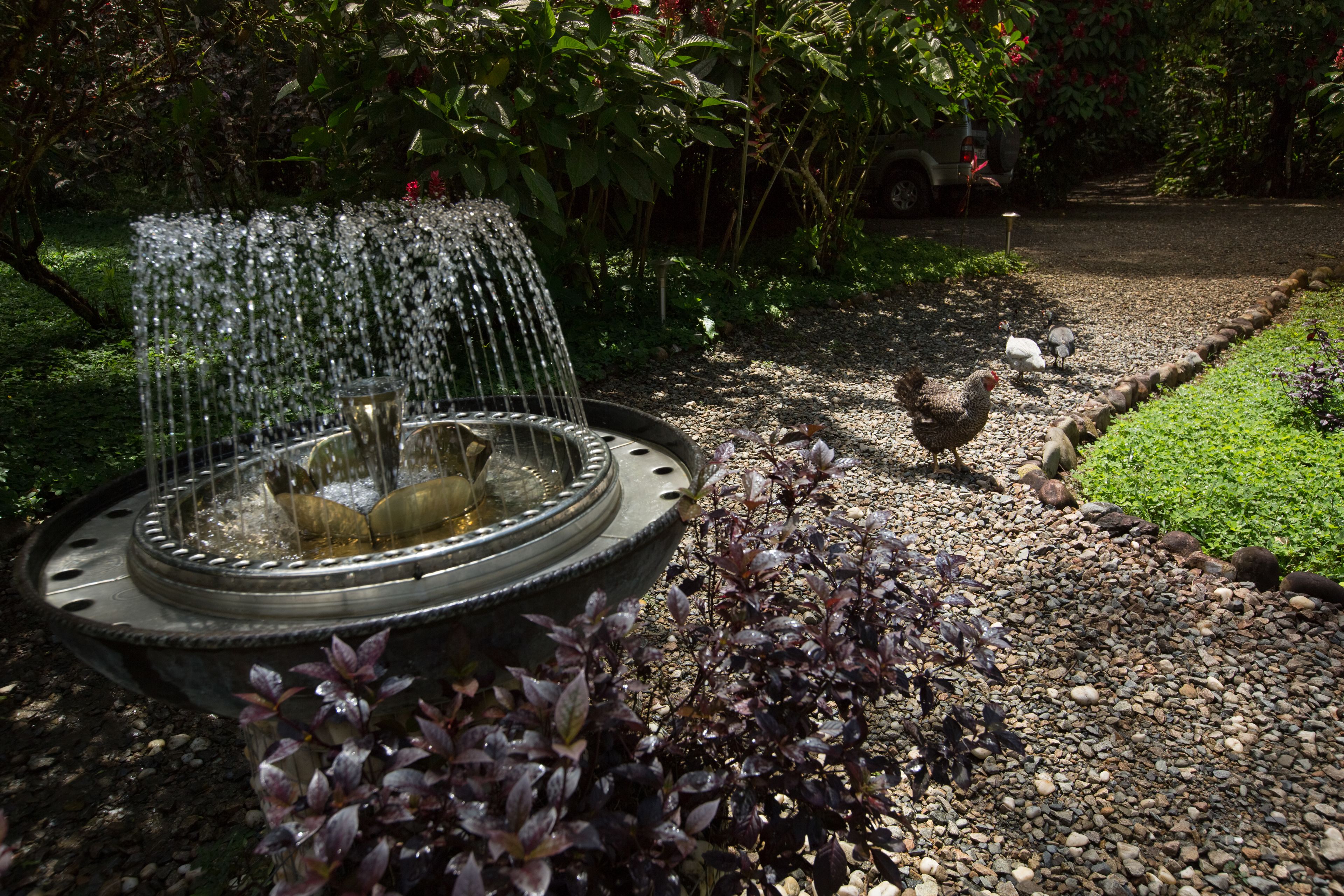 Un jardín con una fuente, rodeado de plantas y piedras.