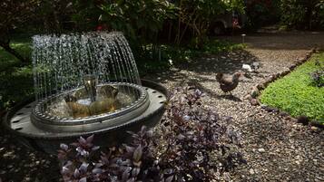 Un jardín con una fuente, rodeado de plantas y piedras.