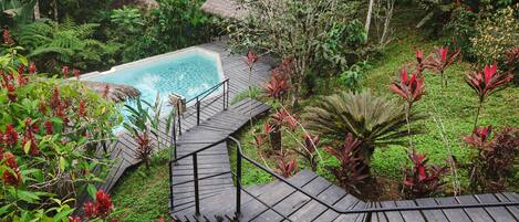 A pool surrounded by lush greenery and a wooden deck.
