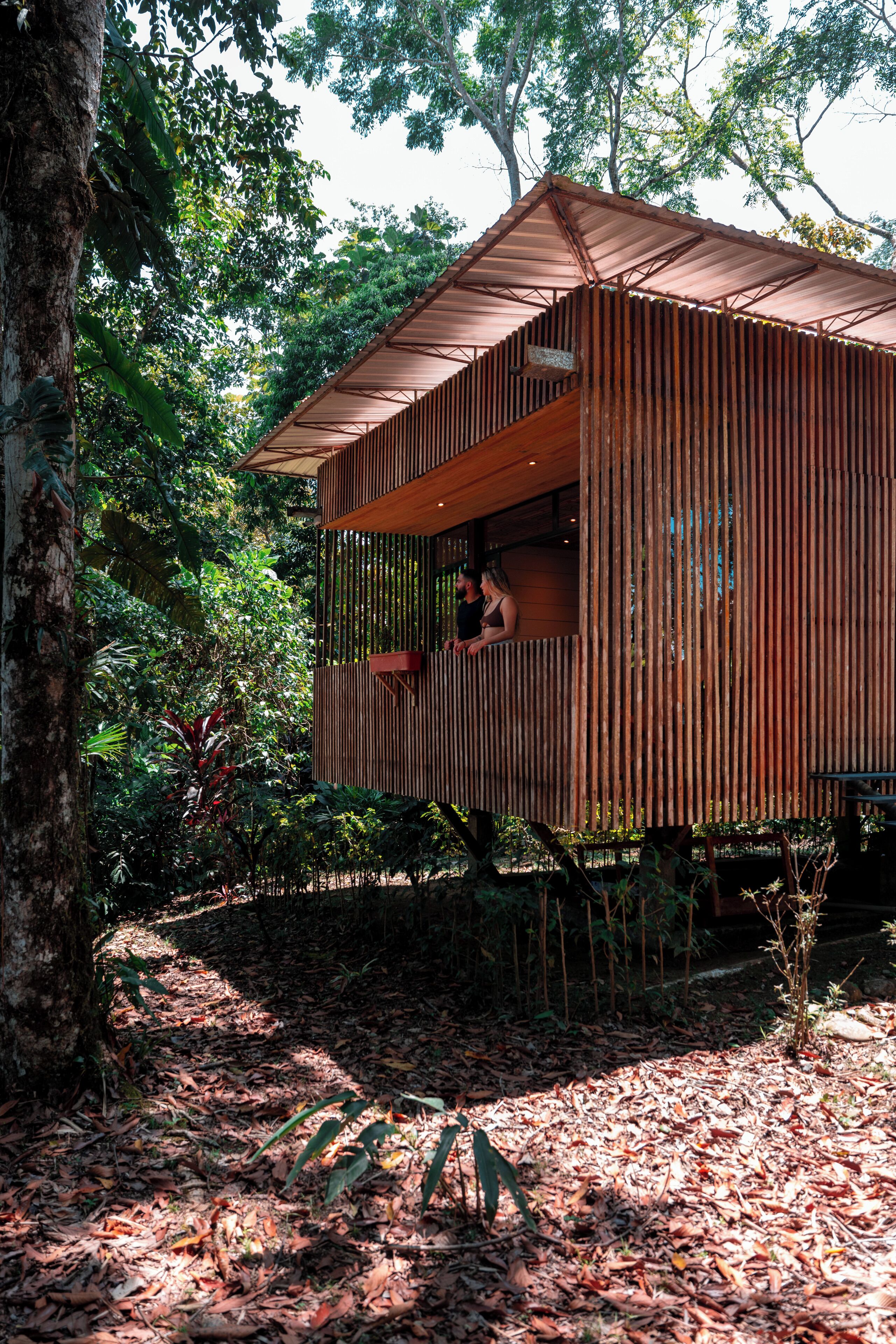 Une cabane en bois, surélevée sur des piliers, entourée d’une végétation luxuriante.