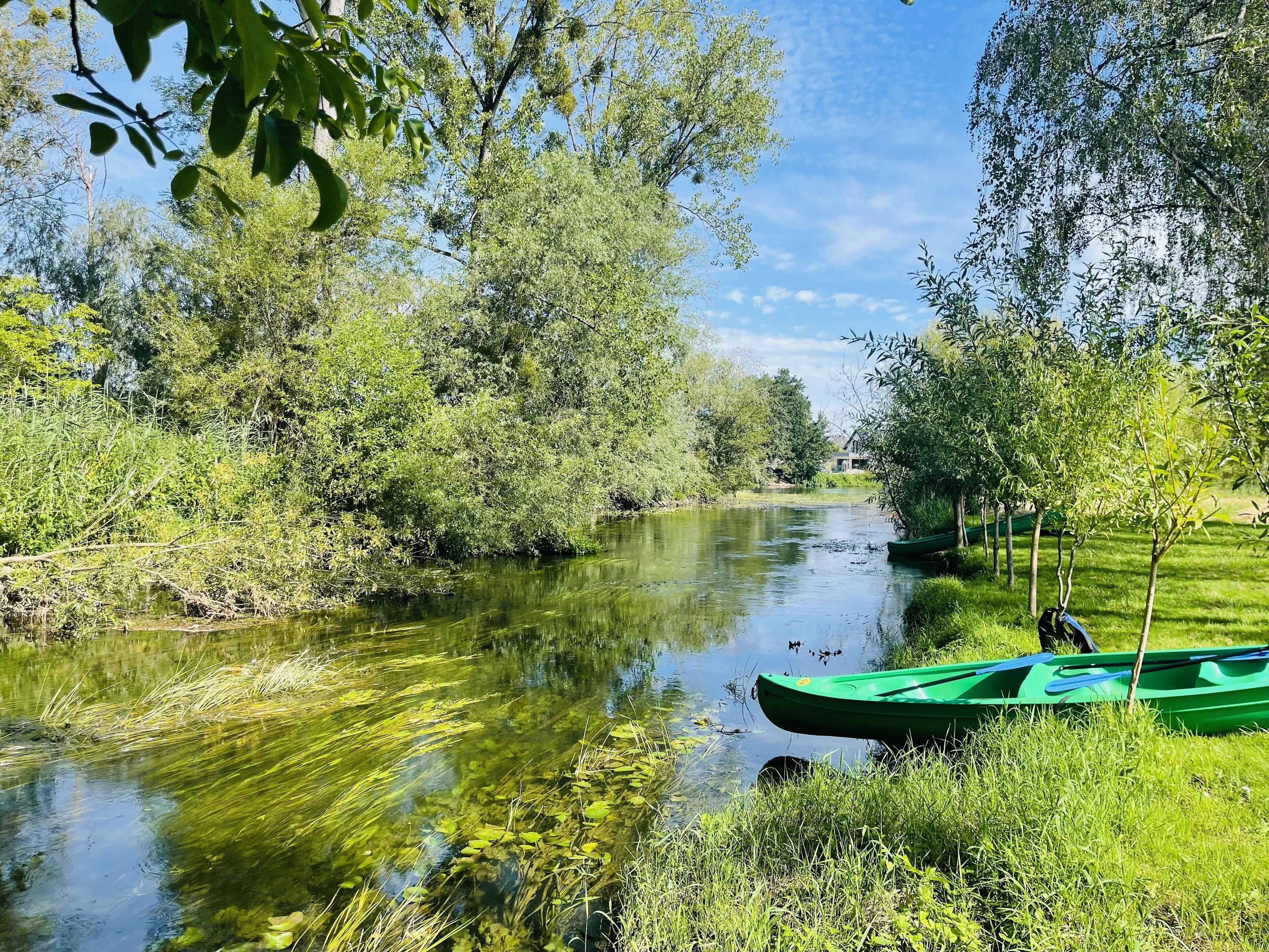 ropes course (team building)