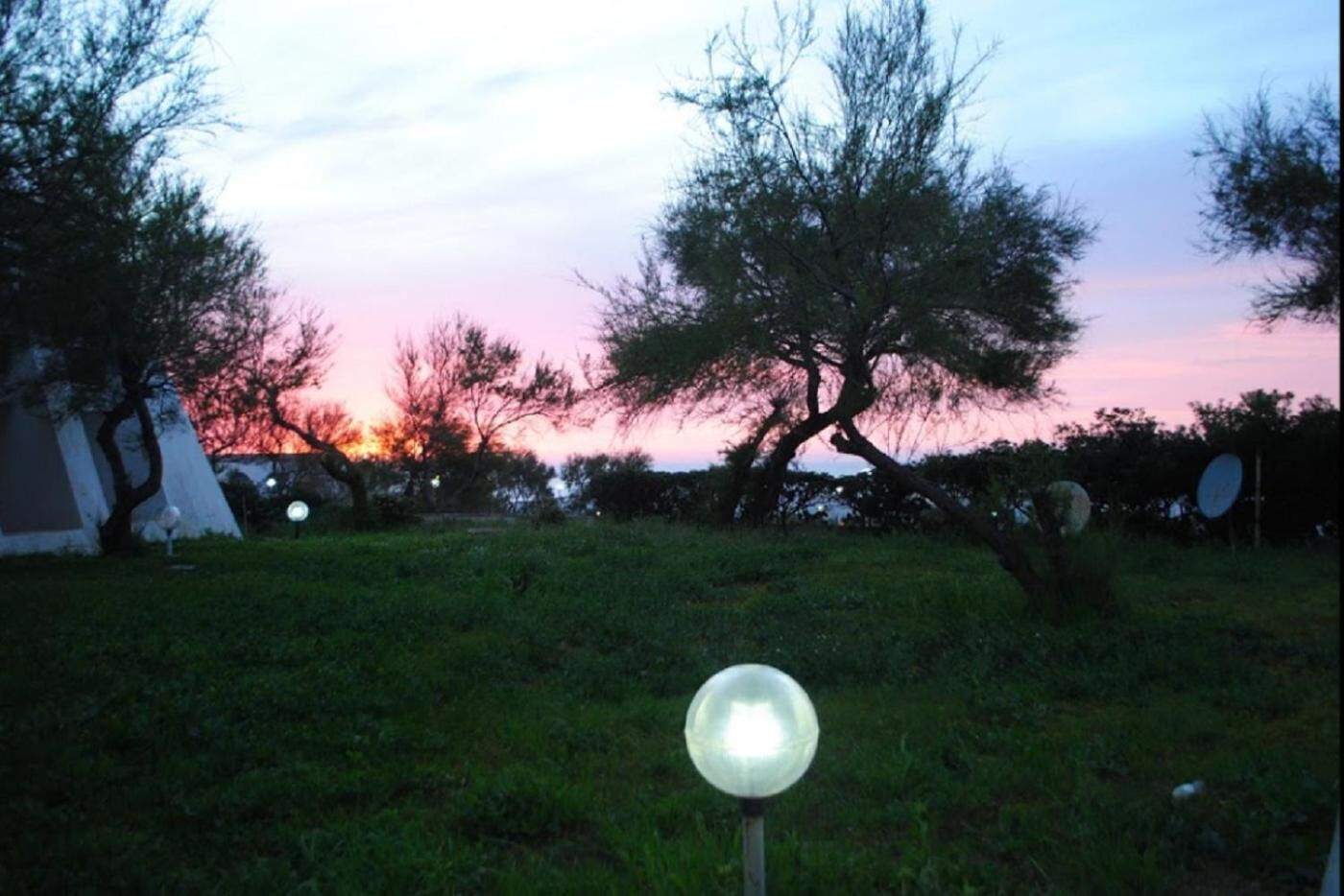Une zone herbeuse avec un lampadaire et des arbres.