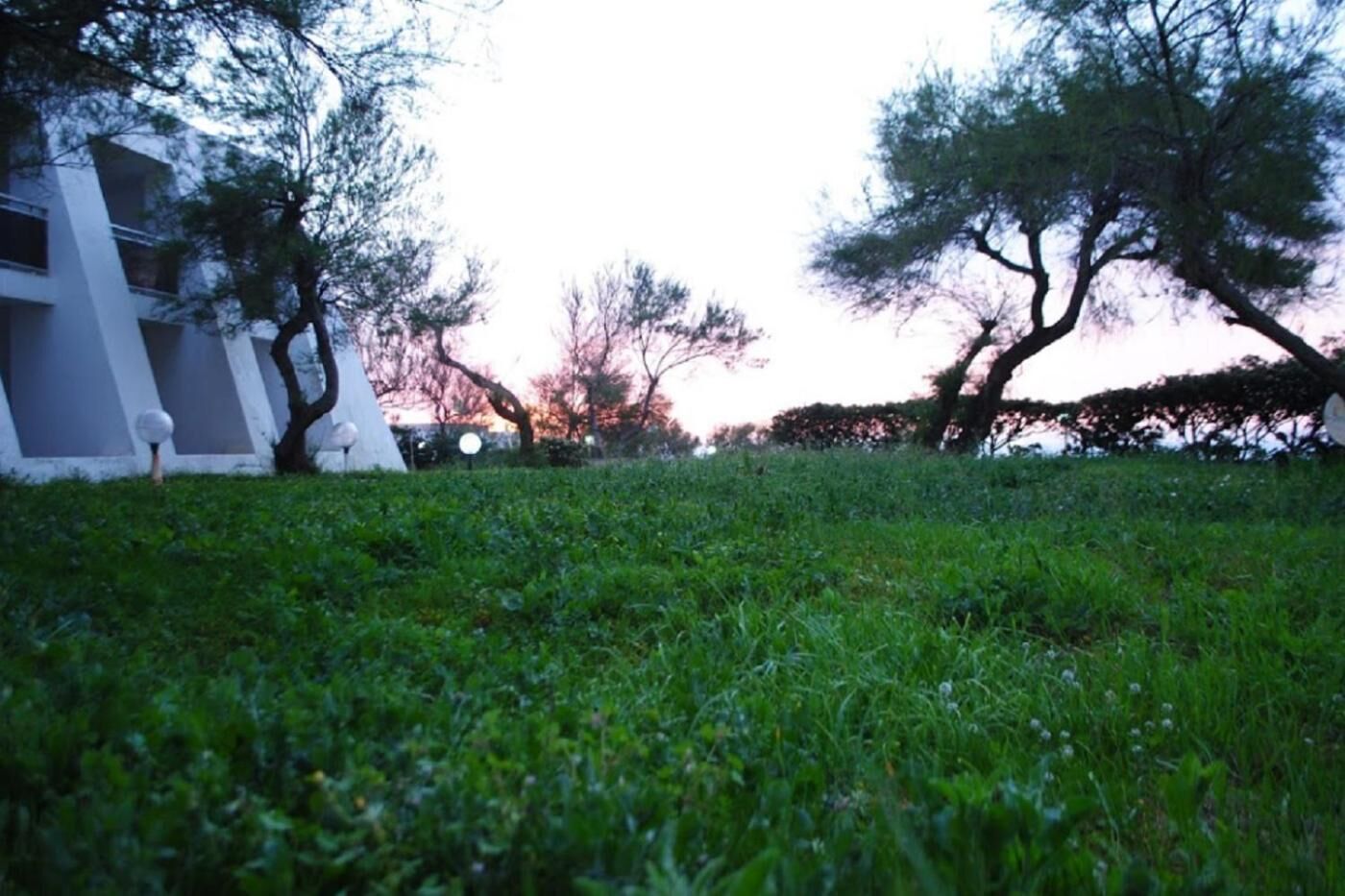 A grassy area with trees and a building in the background.