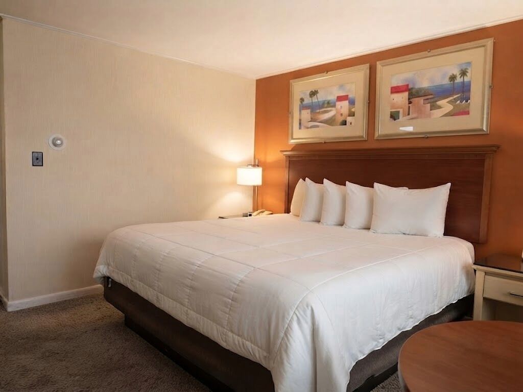 Standard, Uma cama King, Vista p/ rio | Roupas de cama premium, camas com colchões pillow-top, escrivaninha