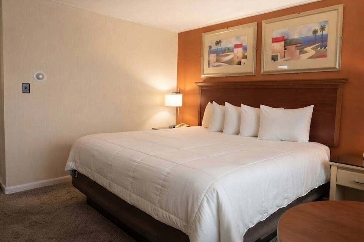 Standard, One King Bed, River View | Premium bedding, pillowtop beds, desk, laptop workspace