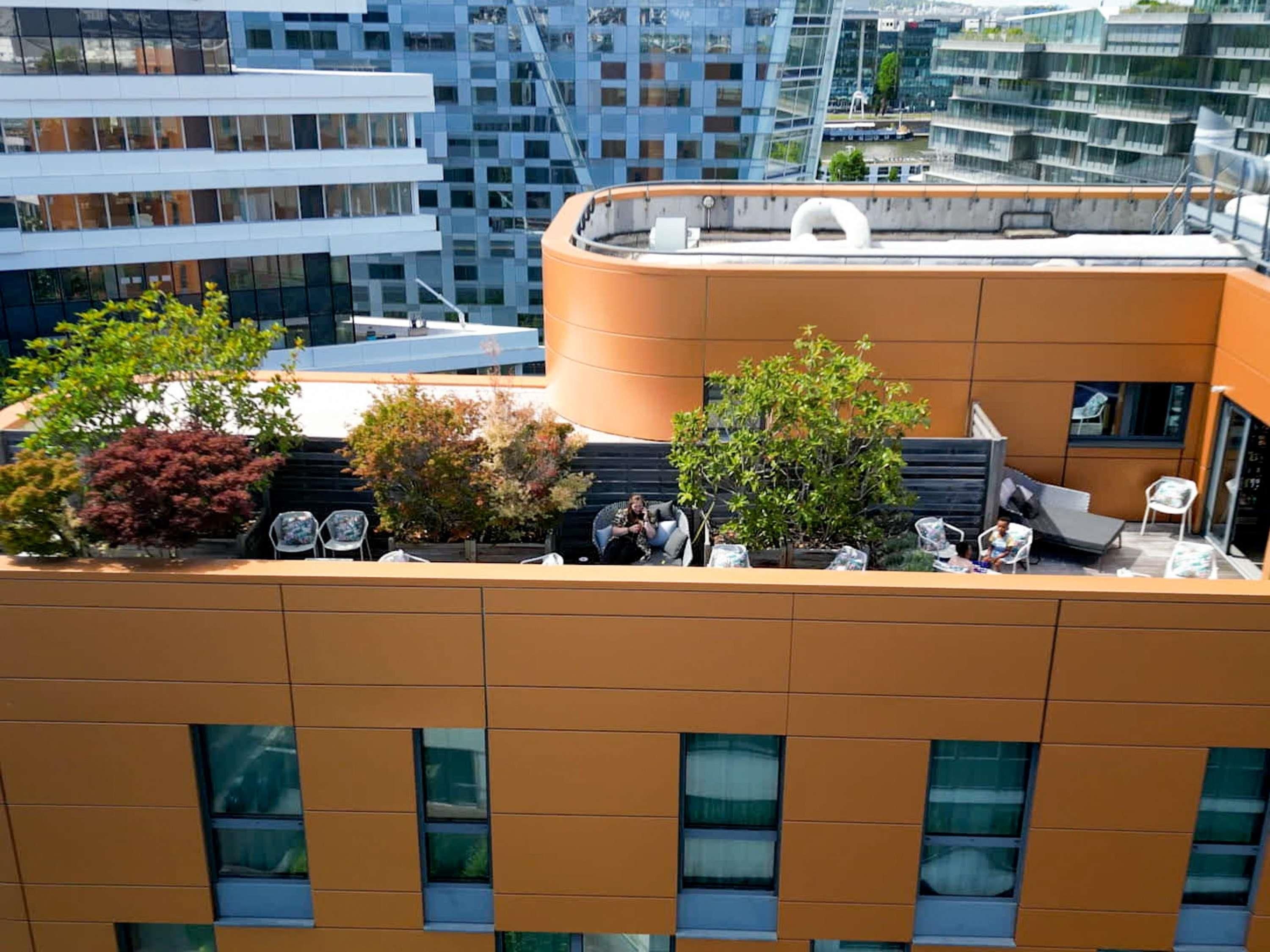 Terraza en la azotea con mobiliario y plantas en macetas.