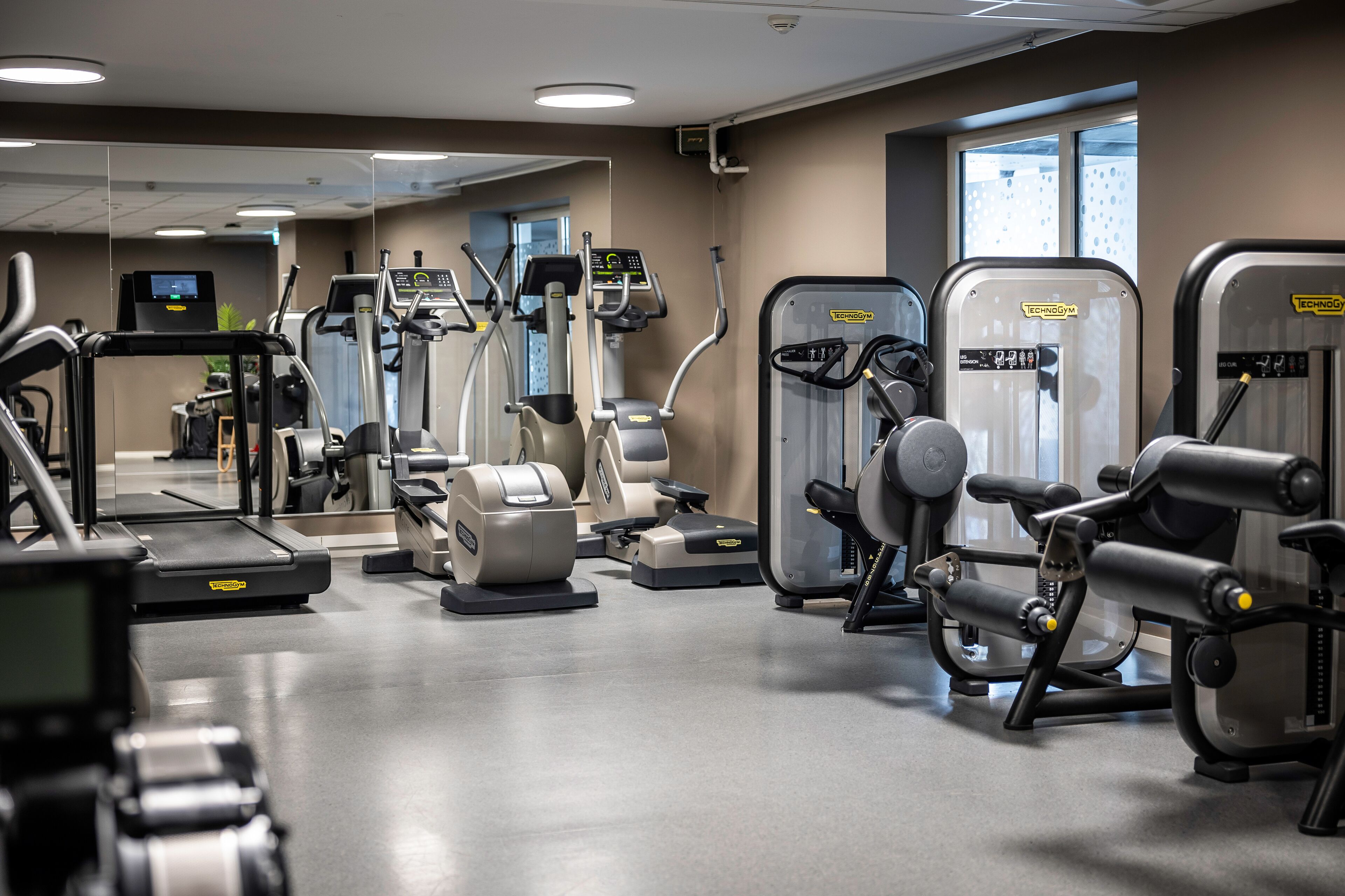 Un gimnasio moderno con diversas máquinas de ejercicio, un espejo grande y un ventanal que proporciona luz natural.