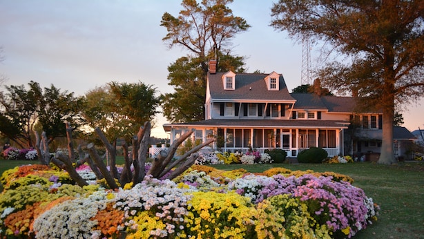 A large house with a porch and a garden with colorful flowers. - Black Walnut Point Inn (Tilghman)