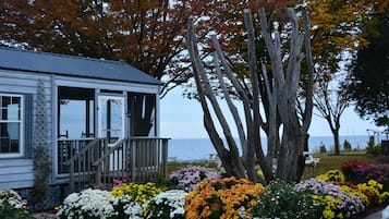 Cabaña Deluxe, 1 habitación, con acceso para personas discapacitadas, vista al río | Vista desde la habitación