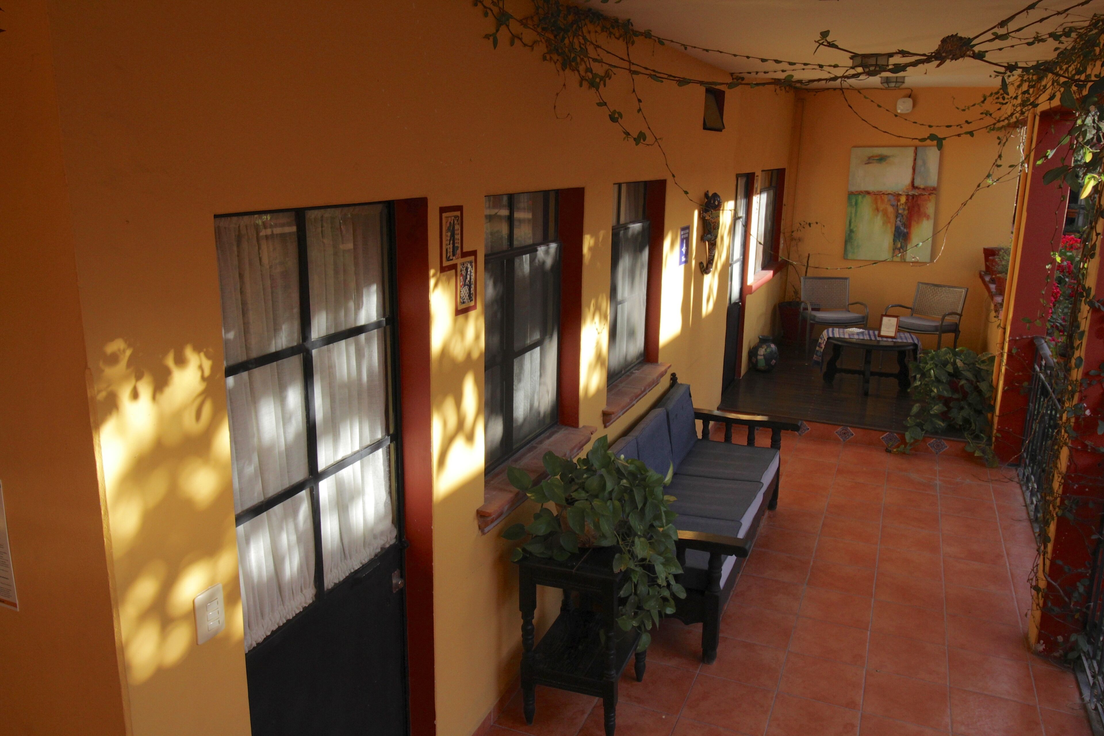 A sunlit interior with a bench, a table with a plant, and a view of the outside.