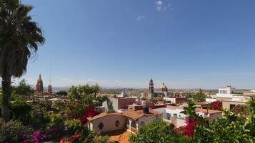 Grand Master Suite | Terraza o patio