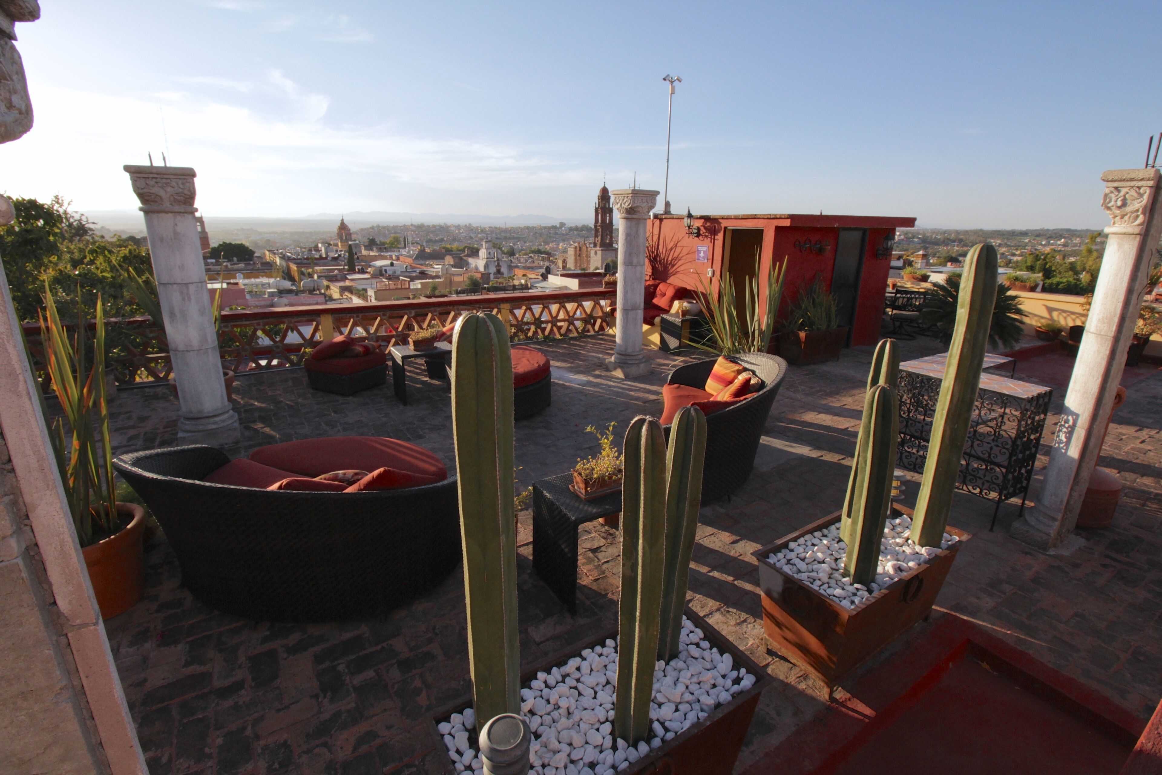 A rooftop terrace with cacti, seating areas, and a view of the cityscape.