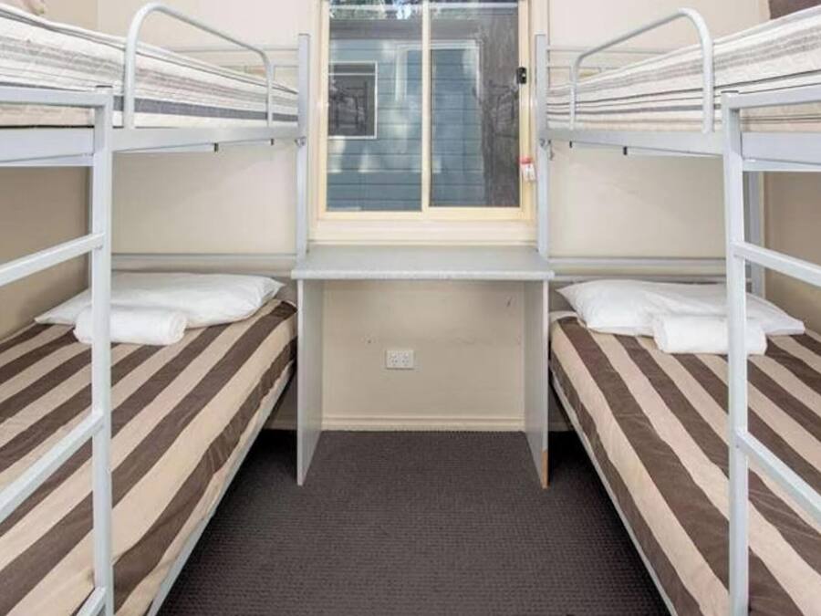Un dormitorio con literas, una ventana y piso alfombrado.