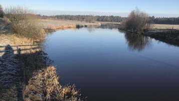 A calm river with trees and a clear sky.