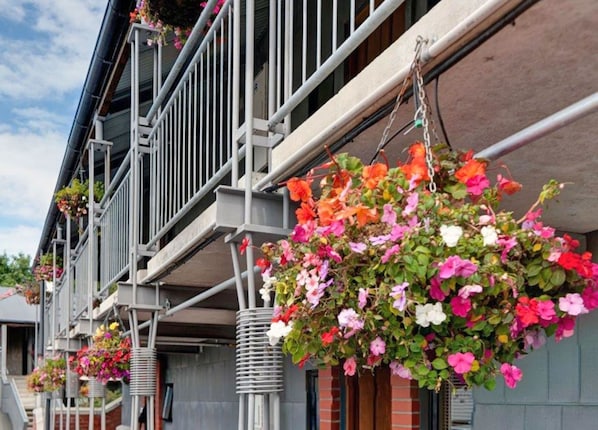 Exterior - Country Glen Lodge (Christchurch)
