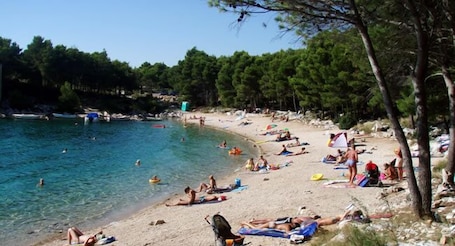 Una playa cerca