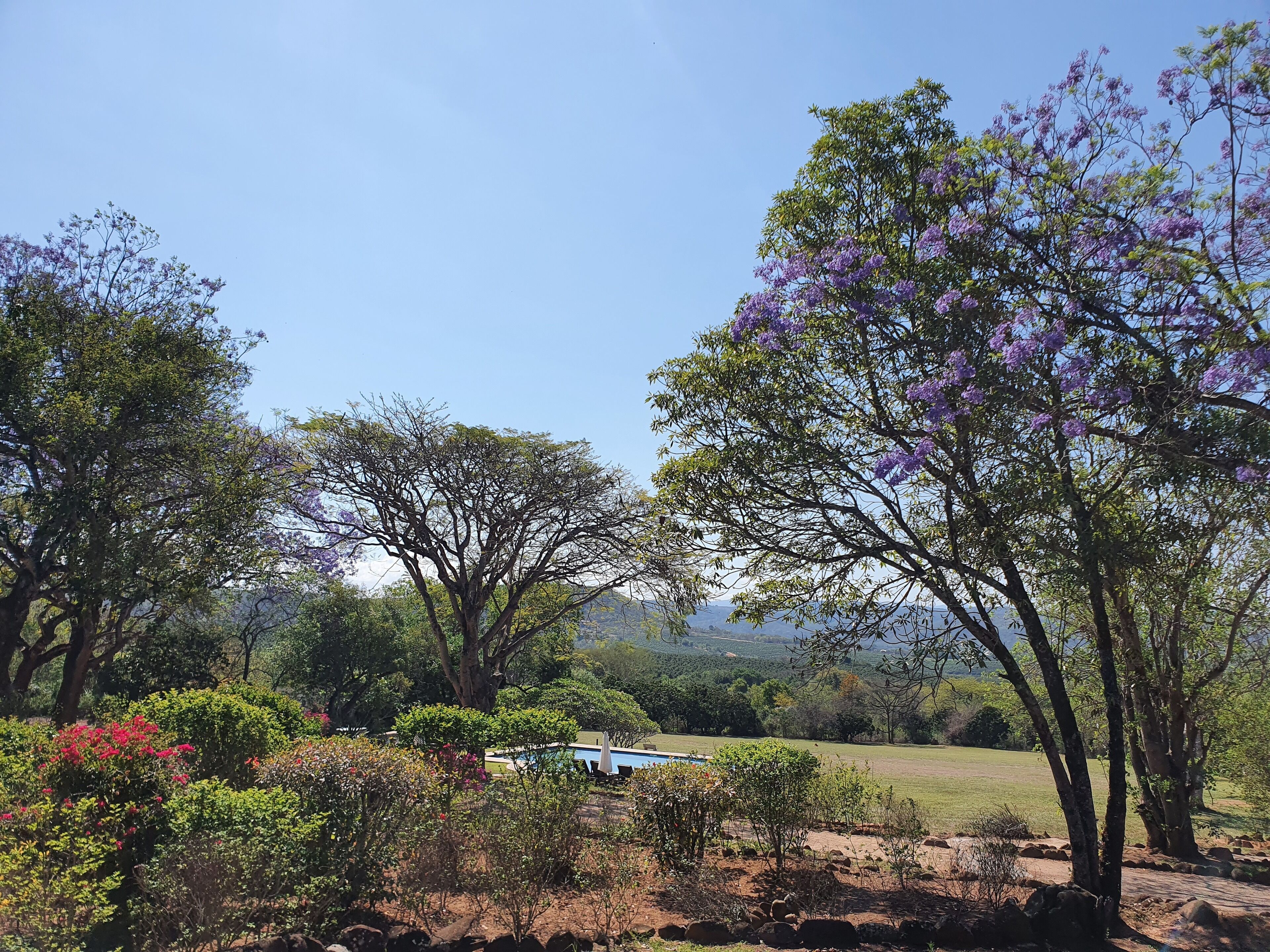 Un paisaje con árboles, una piscina y vistas a colinas distantes.