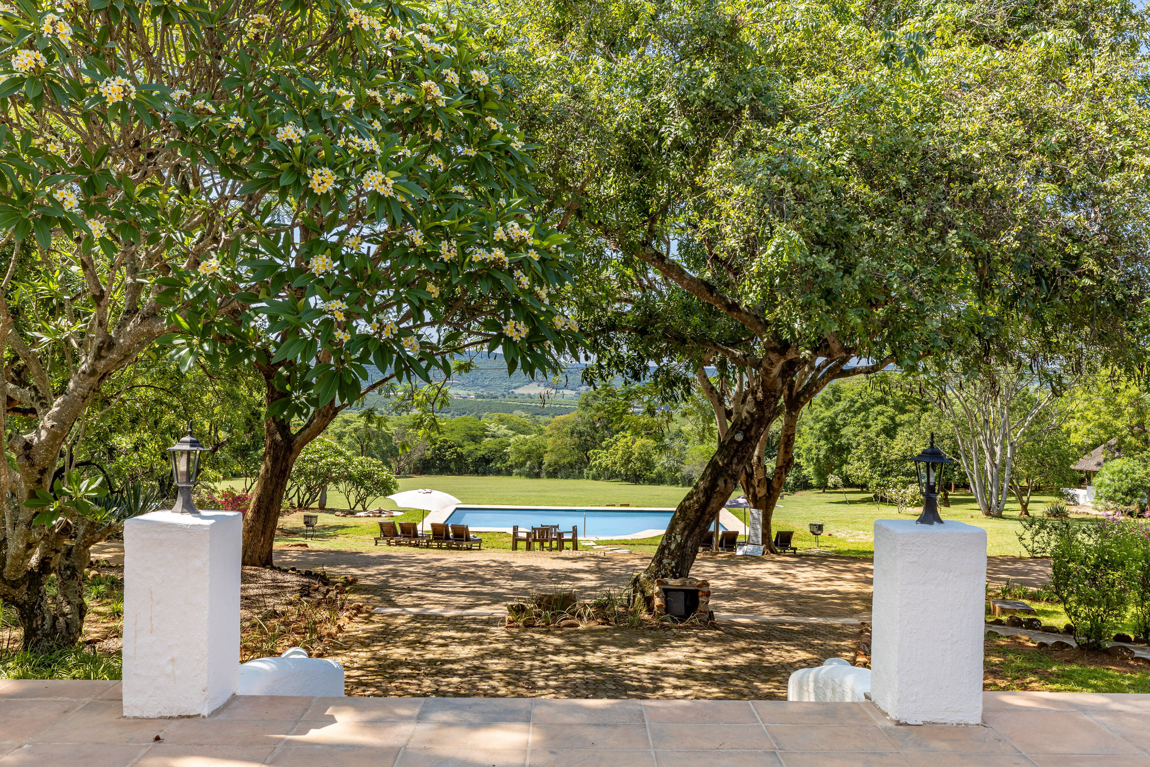 A view of a pool area surrounded by trees and outdoor furniture.