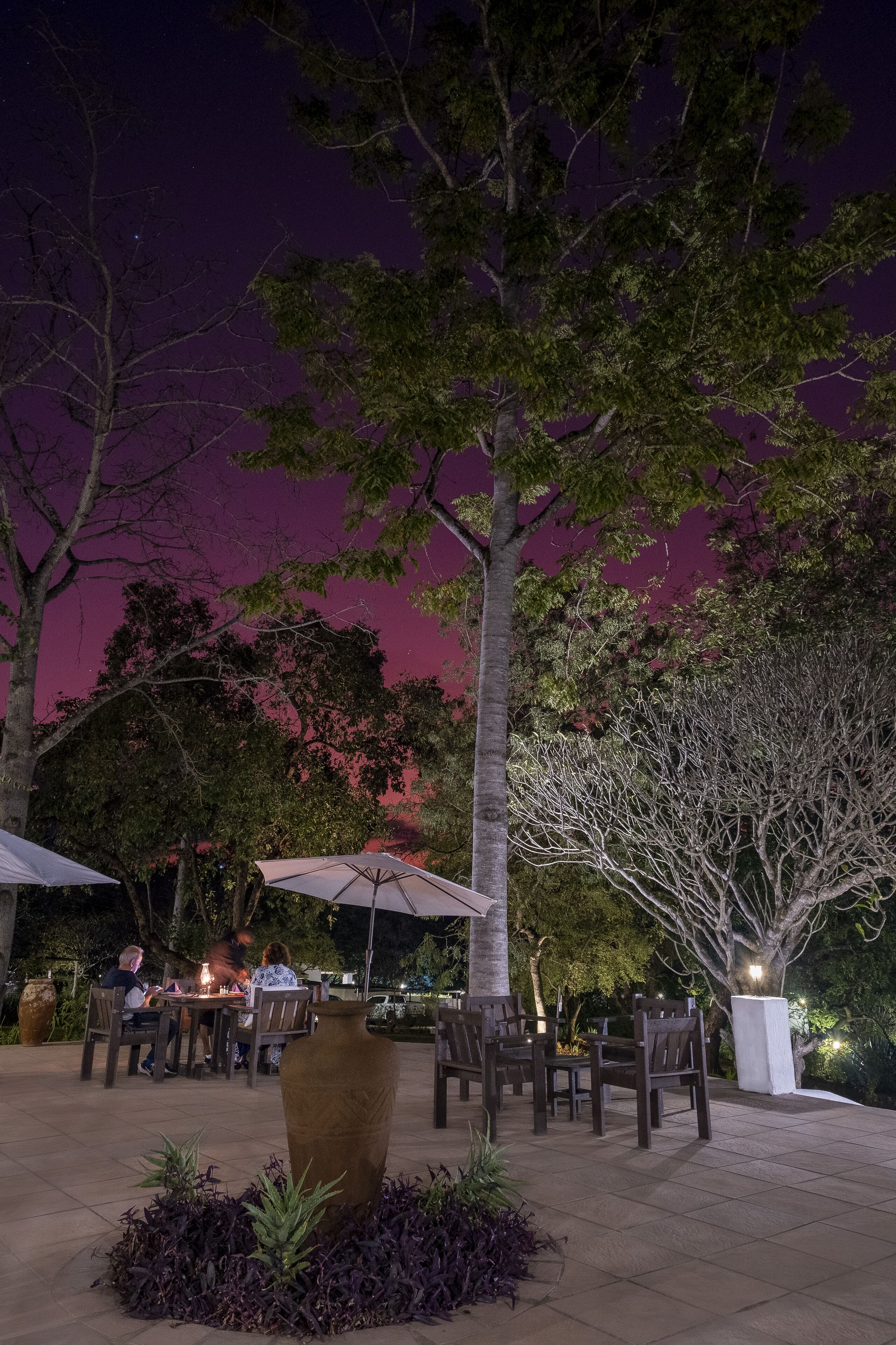 An outdoor dining area with tables and chairs, surrounded by trees and a large planter.