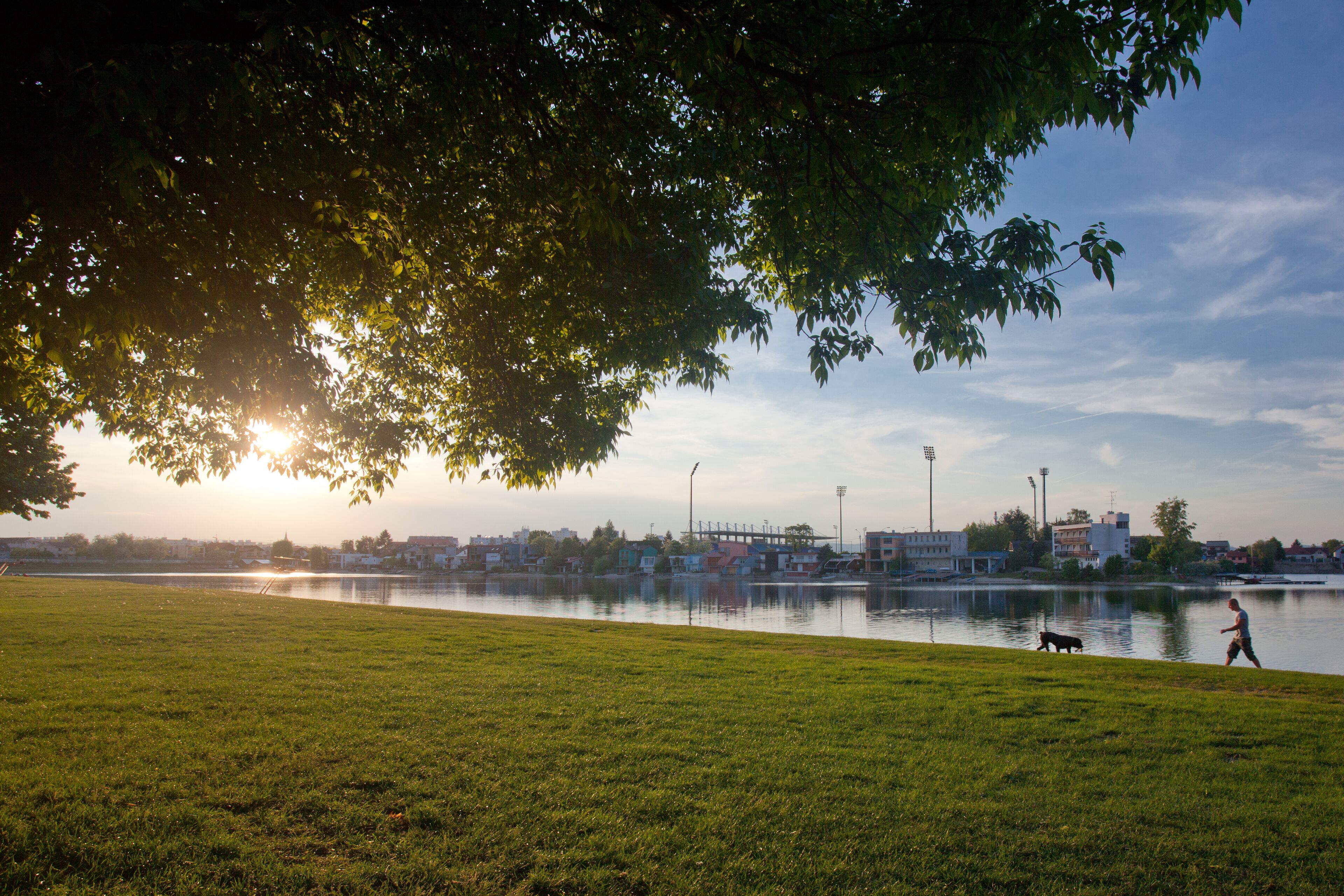 Een grasrijk park met een waterpartij, een brug en gebouwen op de achtergrond.